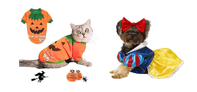 Creative-Halloween-Costumes-For-Pets-2020-12