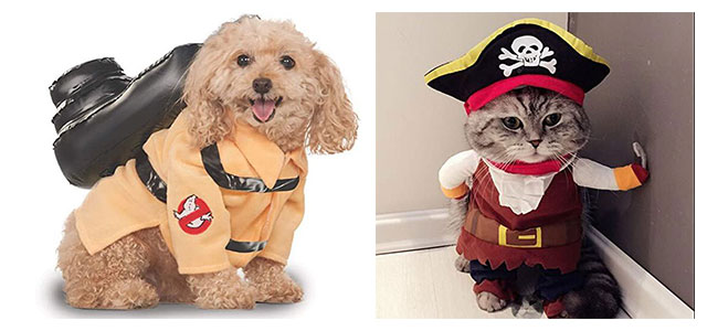 Funniest-Halloween-Costumes-Ideas-For-Pets-2021-F