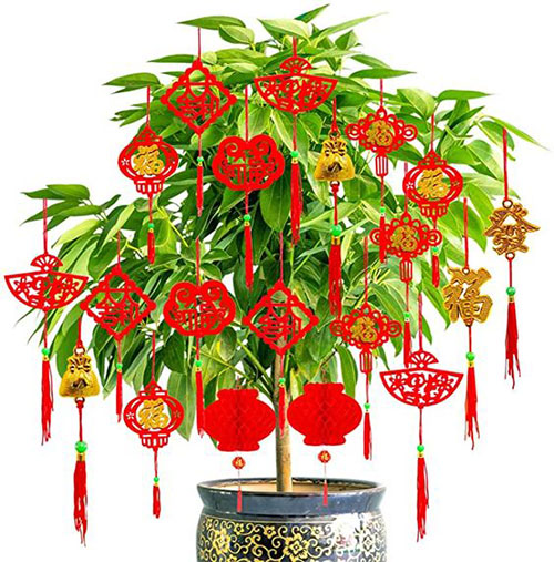 Fabulous-Decor-Ideas-For-Chinese-New-Year-2022-2