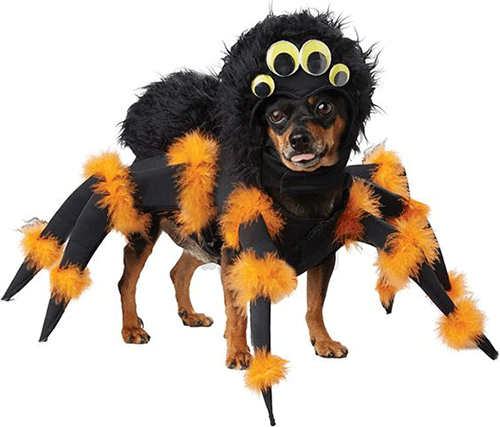 Cute-funny-Halloween-Costumes-For-Pets-1