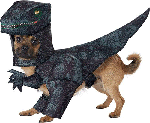Cute-funny-Halloween-Costumes-For-Pets-4