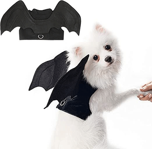Cute-funny-Halloween-Costumes-For-Pets-6