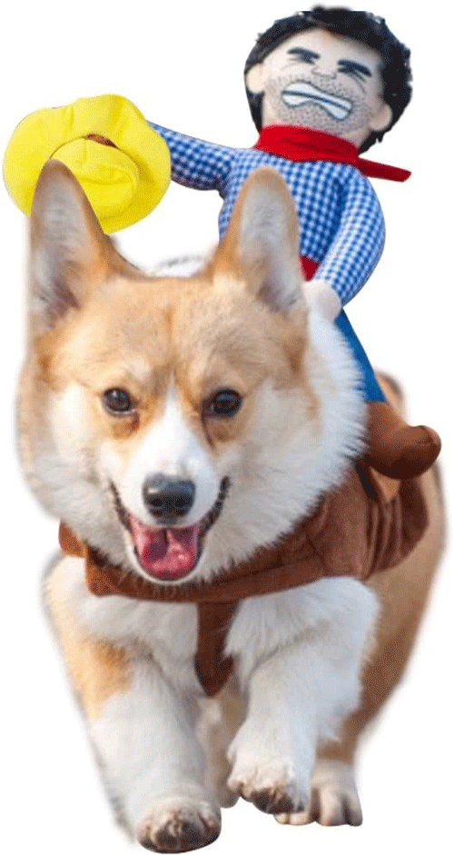 Cute-funny-Halloween-Costumes-For-Pets-7