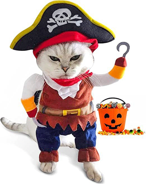 Cute-funny-Halloween-Costumes-For-Pets-8