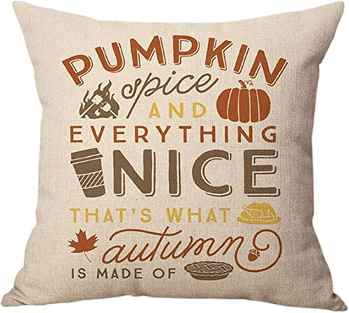 Halloween-Pillow-Covers-That-Is-Totally-In-Season-2022-3
