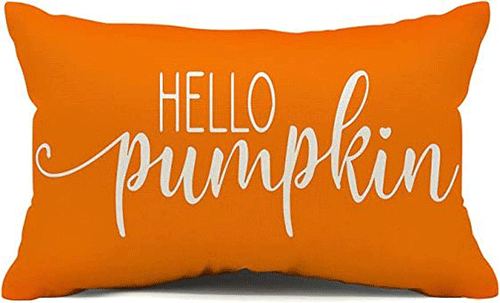 Halloween-Pillow-Covers-That-Is-Totally-In-Season-2022-7